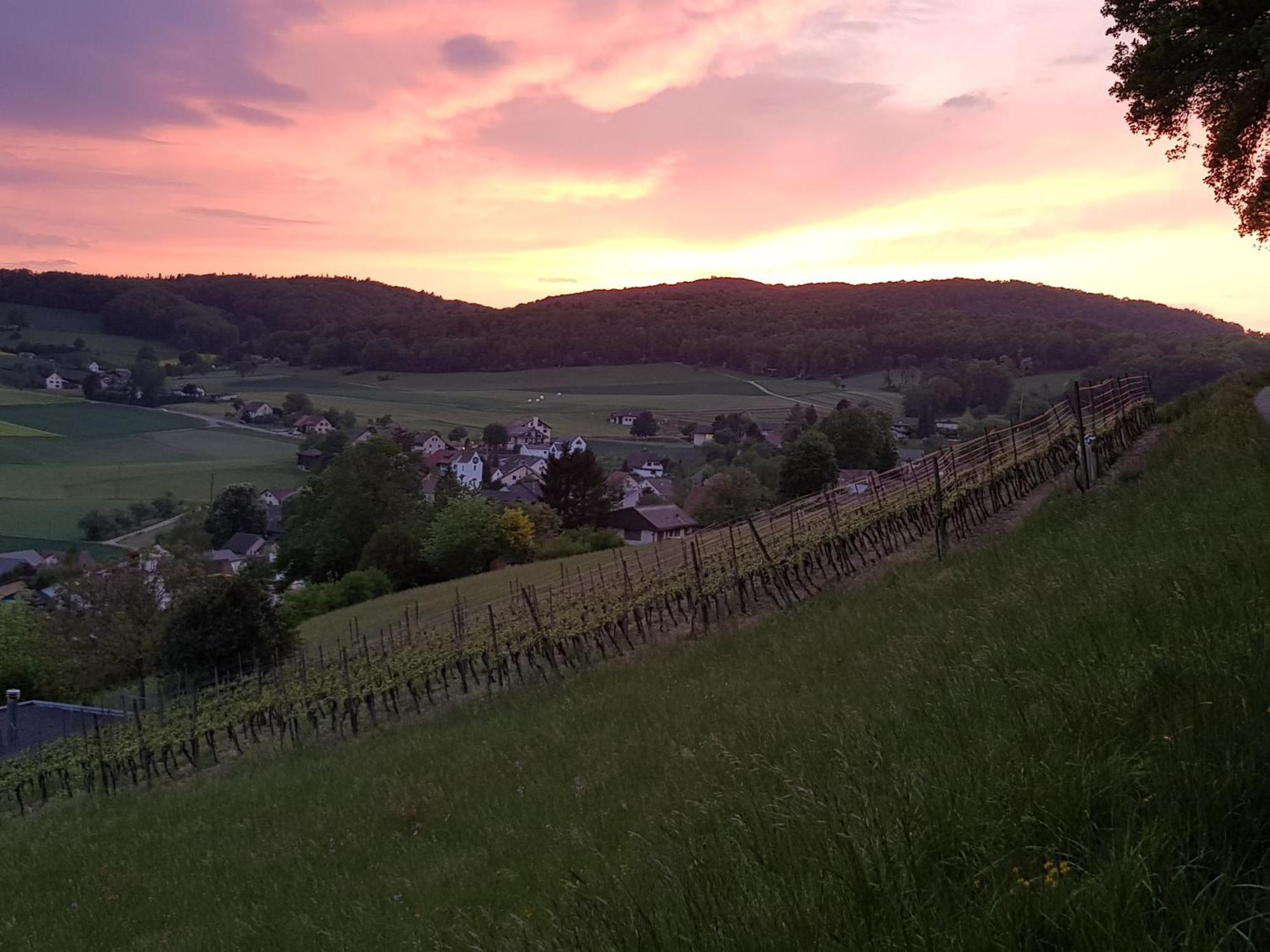 Bnb Moenthal Im Jurapark Exterior photo