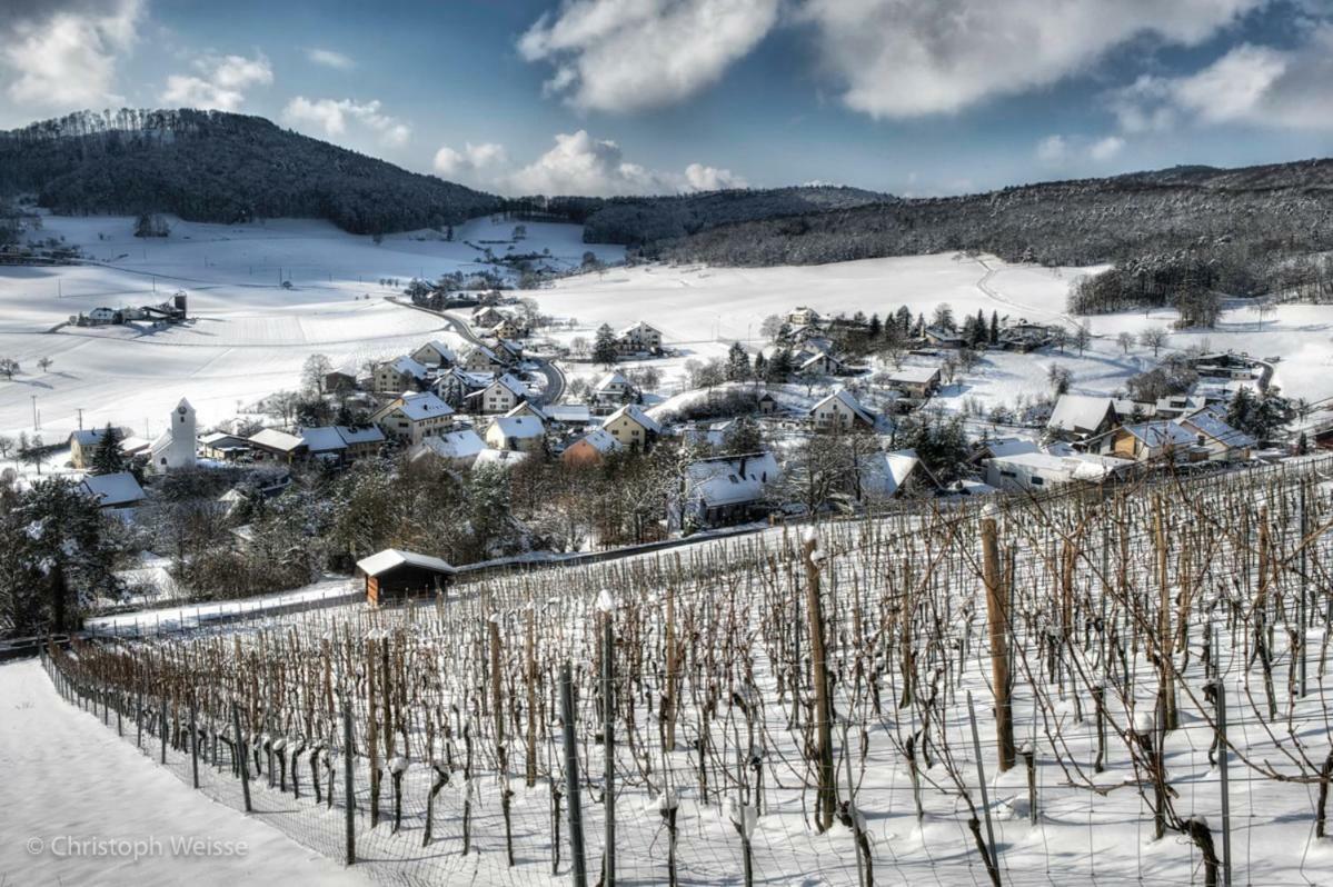 Bnb Moenthal Im Jurapark Exterior photo
